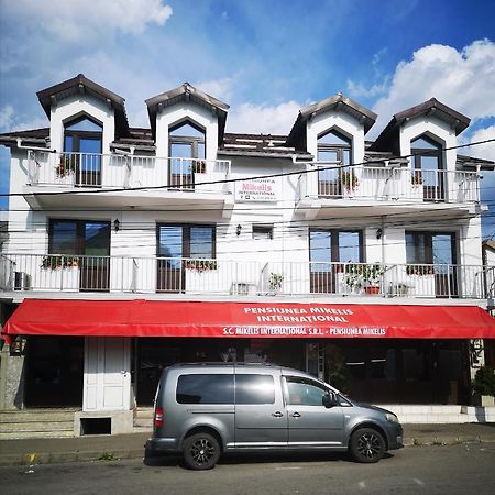Pensiunea Mikelis International Hotel Árgyasudvarhely Kültér fotó