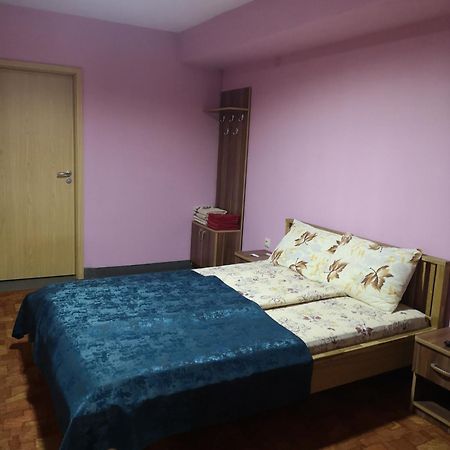 Pensiunea Mikelis International Hotel Árgyasudvarhely Kültér fotó