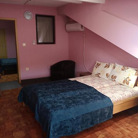 Pensiunea Mikelis International Hotel Árgyasudvarhely Kültér fotó