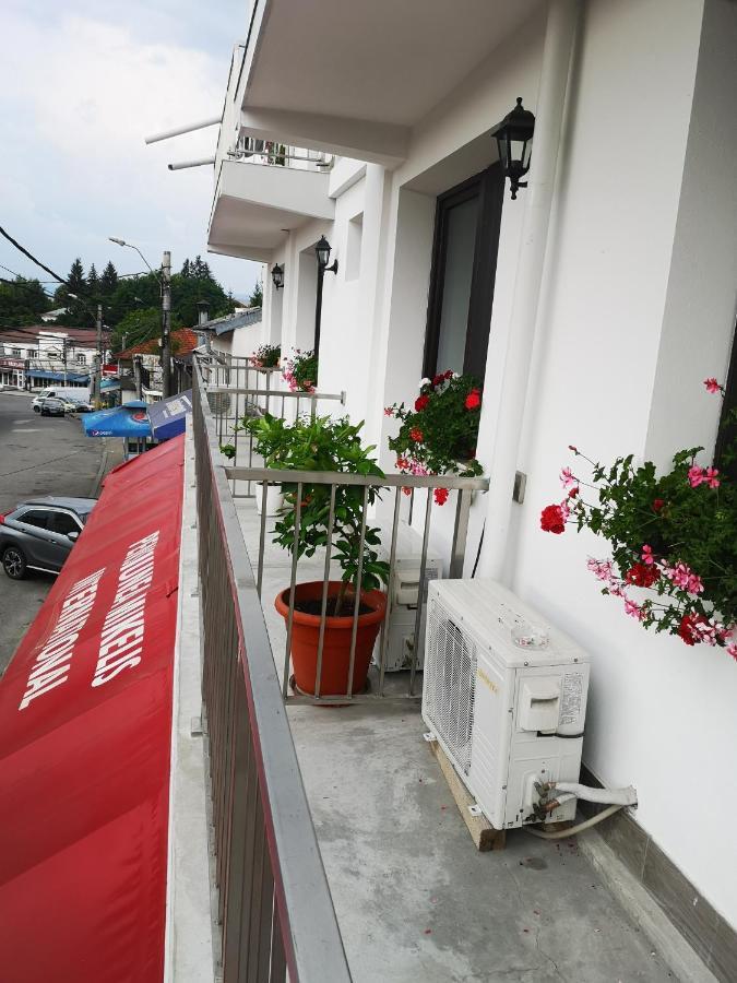 Pensiunea Mikelis International Hotel Árgyasudvarhely Kültér fotó