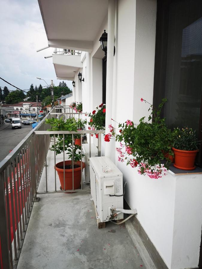 Pensiunea Mikelis International Hotel Árgyasudvarhely Kültér fotó