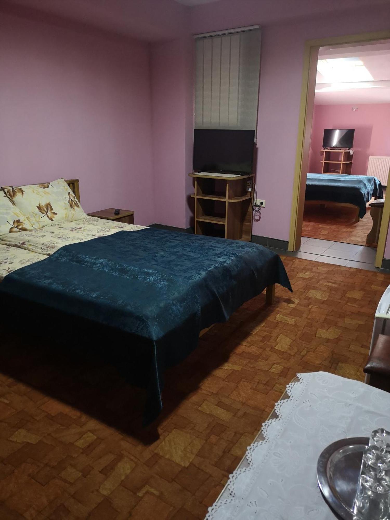 Pensiunea Mikelis International Hotel Árgyasudvarhely Kültér fotó